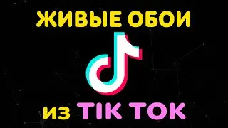 Как Поставить Живые Обои из Тик Тока на Экран Блокировки телефона Android, iPhone 2021