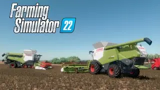 Farming Simulator 22 / Map Novgorodovka / Mega harvest very big field of canola