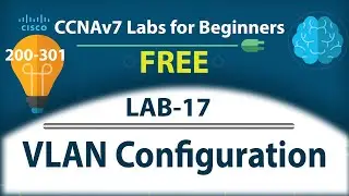 Simple VLAN Configuration - Lab17 | Free CCNA 200-301 Lab Course