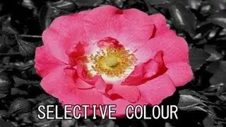 photoshop CS5 selective colour tutorial