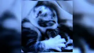 полматери - только для тебя★(speed up)