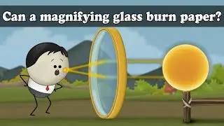 Convex Lens - Can a magnifying glass burn paper? | 