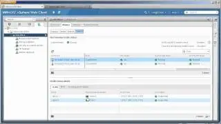 VMware vSphere 5.1 - Network Health  (vSOM)