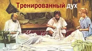 Тренированный дух