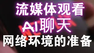 NetFlix观看及chatgpt所需网络环境准备！机场及媒体相关账号的准备。