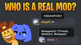 Reveal Whos a Real Mod on Discord with StaffTag