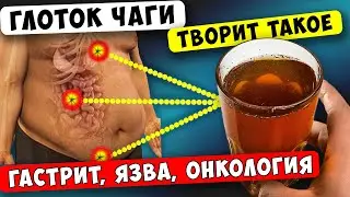 Вот что Творит ЧАГА, если пить Каждый день! Скажи БОЛЕЗНЯМ НЕТ!