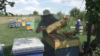 КАРПАТКА  