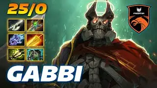 Gabbi Wraith King PREDATOR 25/0 - Dota 2 Pro Gameplay [Watch & Learn]