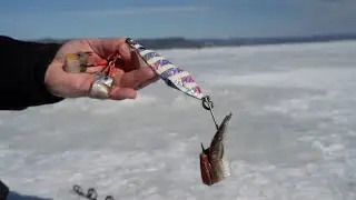 Capsule 101 - L'équipement pour pêcher le flétan avec Remi Aubin