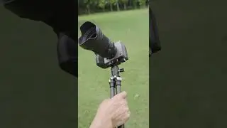 NEEWER TP15 Carbon Fiber Camera Tripod with Phone Holder