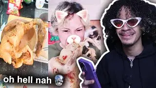 The Greatest TikTok Chef Of All Time (im lying)