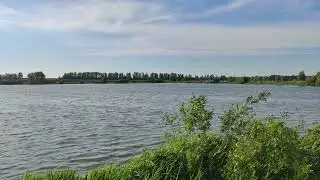 Про репьёвский пруд. #Алеферчук на отдыхе
