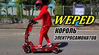 WEPED Король электросамокатов