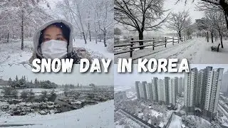 SNOW DAY IN KOREA ❄️🇰🇷☃️ The First Snowfall of the Year 🌨️