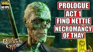 Baldur's Gate 3 [Prologue - Act 1 - Finding a Cure] Full Gameplay Walkthrough Longplay No Commentary