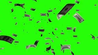 Green Screen Money Falling