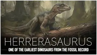 Herrerasaurus: The Car Sized Meat Eating Lizard | Dinosaur Documentary