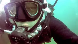 Подводный мир Черного моря / The underwater world of the Black Sea