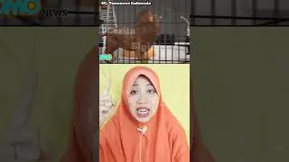 COWOK INI NANTANGIN SINGA 😱 | Cerita Elpida 