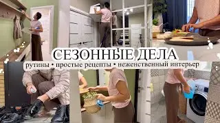 Сезонные дела👢 ПРОСТЫЕ РЕЦЕПТЫ🐟 Неженственный интерьер🤷🏻‍♀️ РУТИНЫ🔥 Будни мамы🥰 МОТИВАЦИЯ