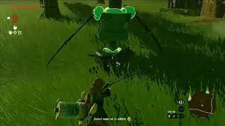 Auto battle bot in Zelda: Tears Of the Kingdom