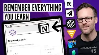 How To Collect Knowledge In A Notion Second Brain! + Template Guide