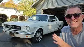 Seasonal Daily Driver - 1965 Mustang Vlog 2024