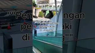 Penyeberangan pejalan kaki orang Jepang nyaman dan praktis #videoviral #japan #japantravel #tokyo