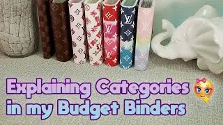 🍁Breakdown of Sinking Funds Budget Binders 2022 | PNAMNFamilyBudgets