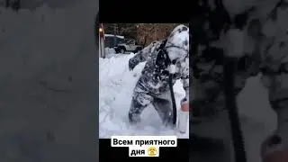 Здравствуйте Бандиты 😂 прикол