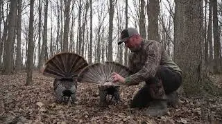 AvianX Strutter Tip