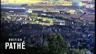 Pollution (1969)