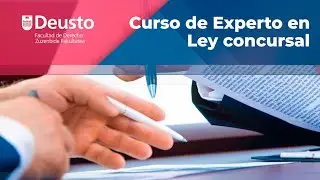 Curso de Experto en Ley concursal