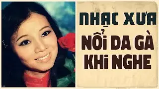 Liên Khúc Nhạc Xưa Bất Hủ NỔI DA GÀ KHI NGHE - Nhạc Vàng Xưa 1975 ĐẮT GIÁ VÔ CÙNG