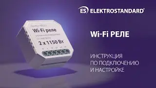 Wi-Fi реле Умный дом (инструкция по подключению и настройке)