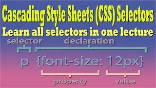css selectors in one lecture | css selectors explained