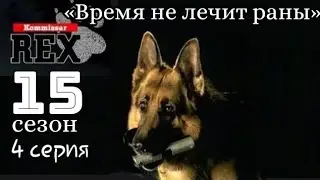 Комиссар Рекс, 15 сезон, 4 серия «Время не лечит раны»