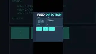 Learn Flex display's Flex Direction with animation 🤩