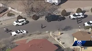 Intruder breaks into home, and owner shoots him