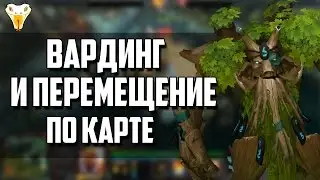 Вардинг и перемещения по карте. Гайд для новичков.