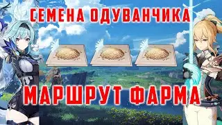 СЕМЕНА ОДУВАНЧИКА. МАРШРУТ ФАРМА [Genshin Impact]