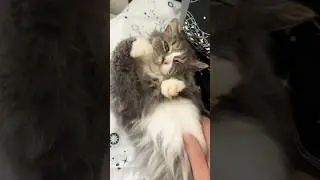 Я чё опять профукал день рождение😝