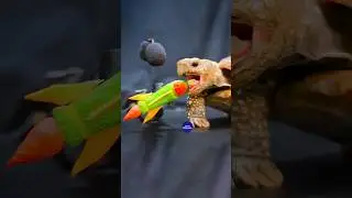 ASMR Turtle Eating A Rocket 🚀🐢