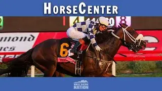 Woodbine Mile and E. P. Taylor top picks on HorseCenter