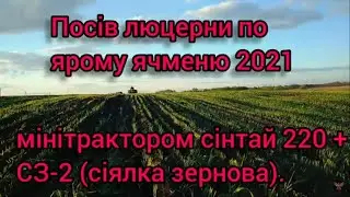 Посів люцерни по ячменю, мінітрактор сінтай 220 + СЗ-2.