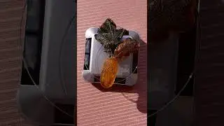 Кулон из янтаря и бронзы#amber #творчество #jewellery #diy #украшения #handmade #кулон