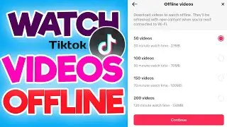 How to watch TikTok videos offline without data