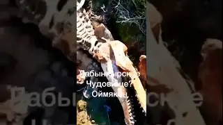 Найдено Лабынкырское чудовище? Тайны Якутии! СМОТРИТЕ ПОЛНОЕ ВИДЕО! #якутия