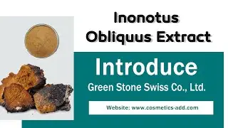 Inonotus Obliquus Extract